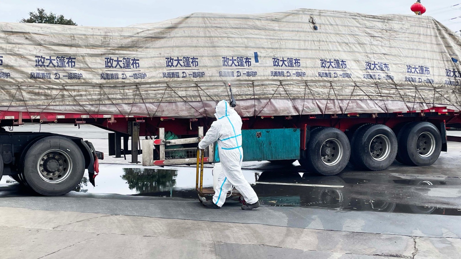 1652836844437609.jpg 1652836844437609.jpg